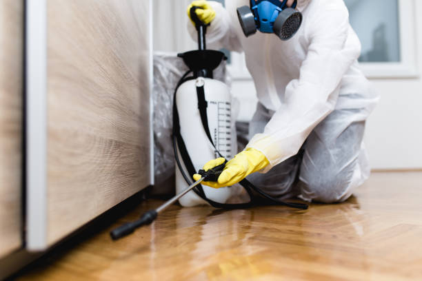 Best Flea Control Services  in Milaca, MN