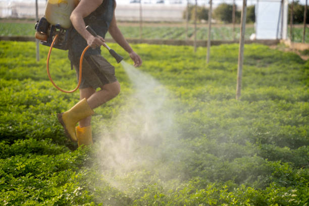 Best Pest Removal Services  in Milaca, MN