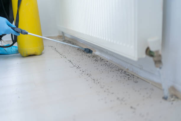 Best Affordable Pest Control Services  in Milaca, MN