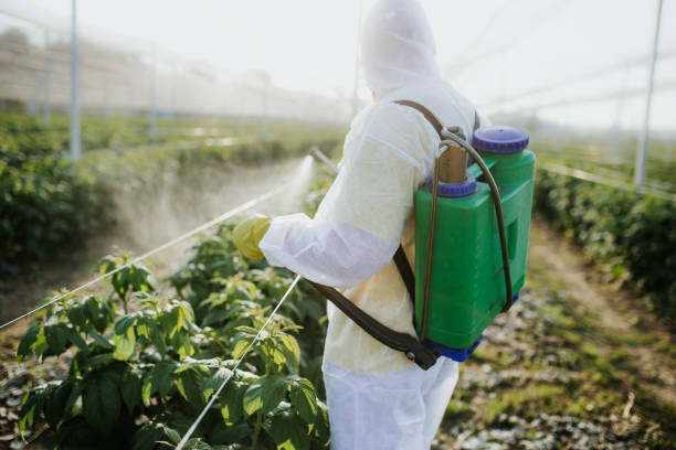 Best Best Pest Control Companies  in Milaca, MN